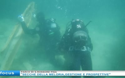 Meloria tra gestione e prospettive