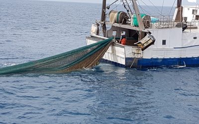 Plastic free, pescatori in prima linea