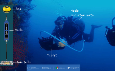 Gps e wireless per la biodiversità